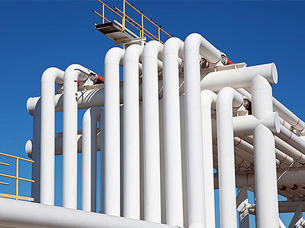 麻辣魚(yú)火鍋